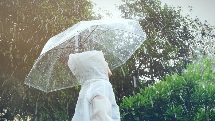 Cara Agar Tetap Sehat di Musim Hujan, Inilah 5 Tips Menjaga Stamina Tubuh -  Rumah Sakit Panti Rapih